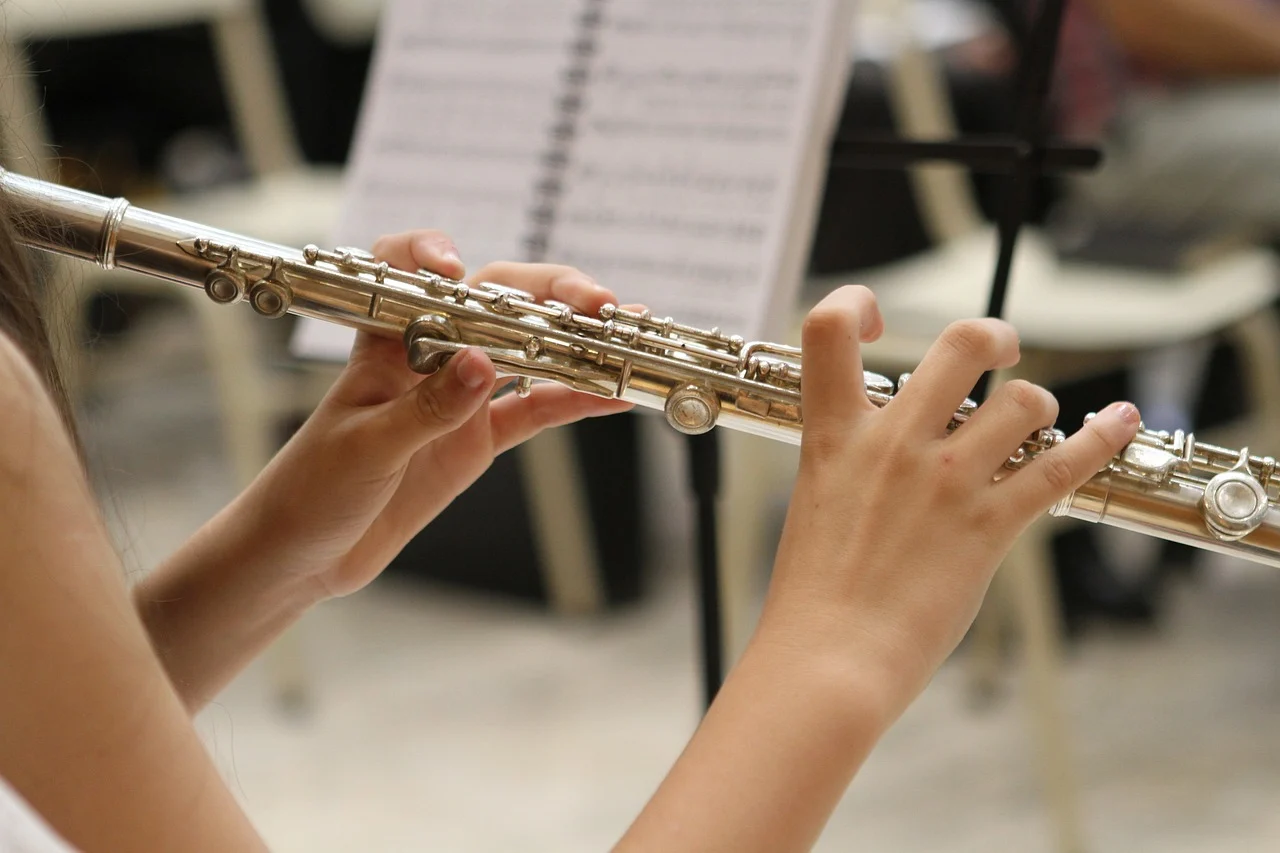 music, jazz, flute, musician, instrument, sound, orchestra, concert, band, player, classical music, hands, playing, young, classical, musical, melody, artist, white, harmony, flute, flute, flute, flute, flute, orchestra